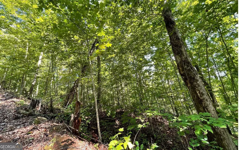 LOT 8D Eagle HTS Hiawassee, GA 30546