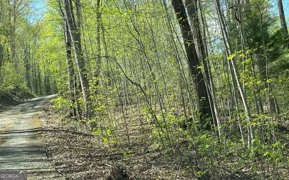 LOT 8D Eagle HTS Hiawassee, GA 30546