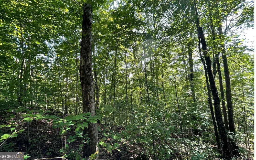 LOT 8D Eagle HTS Hiawassee, GA 30546