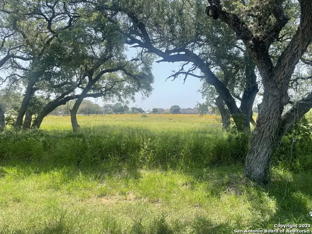 FM3150 & FM3350 Airport Pleasanton, TX 78064