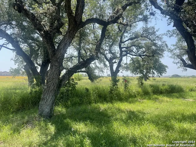 FM3150 & FM3350 Airport Pleasanton, TX 78064