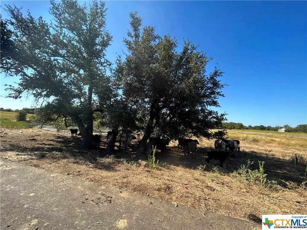 Waggener Ranch RD Road Copperas Cove, TX 76522