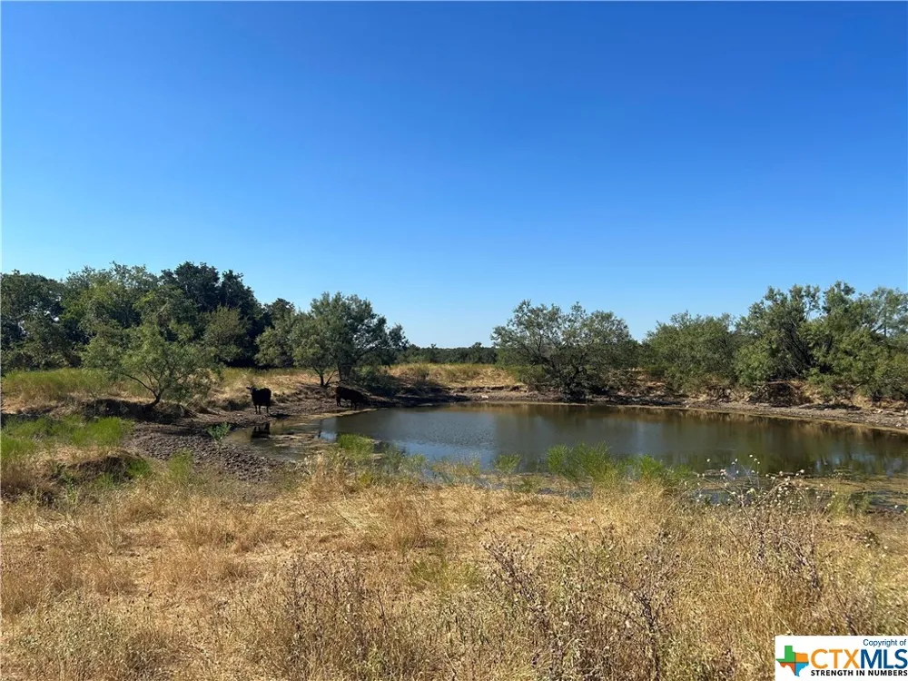 Waggener Ranch RD Road Copperas Cove, TX 76522