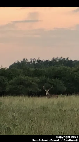 465 Watkins Road Mountain Home, TX 78058