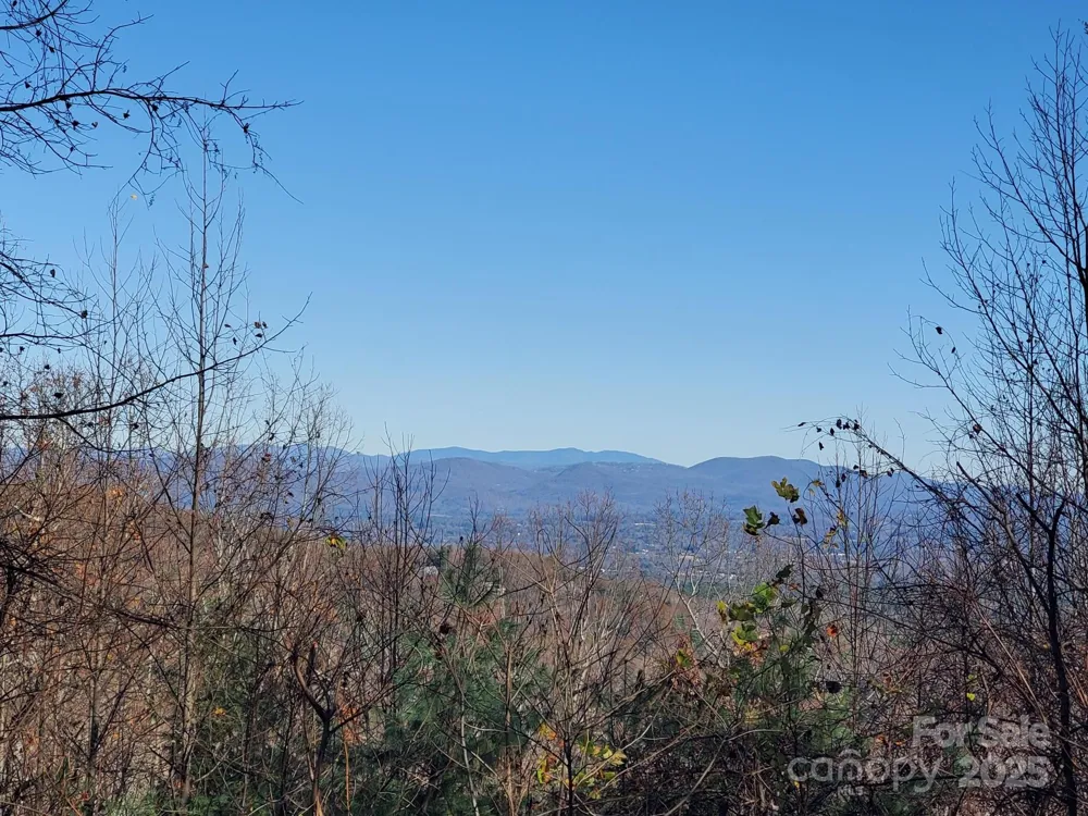 103 Berry Creek Drive #22 Flat Rock, NC 28731