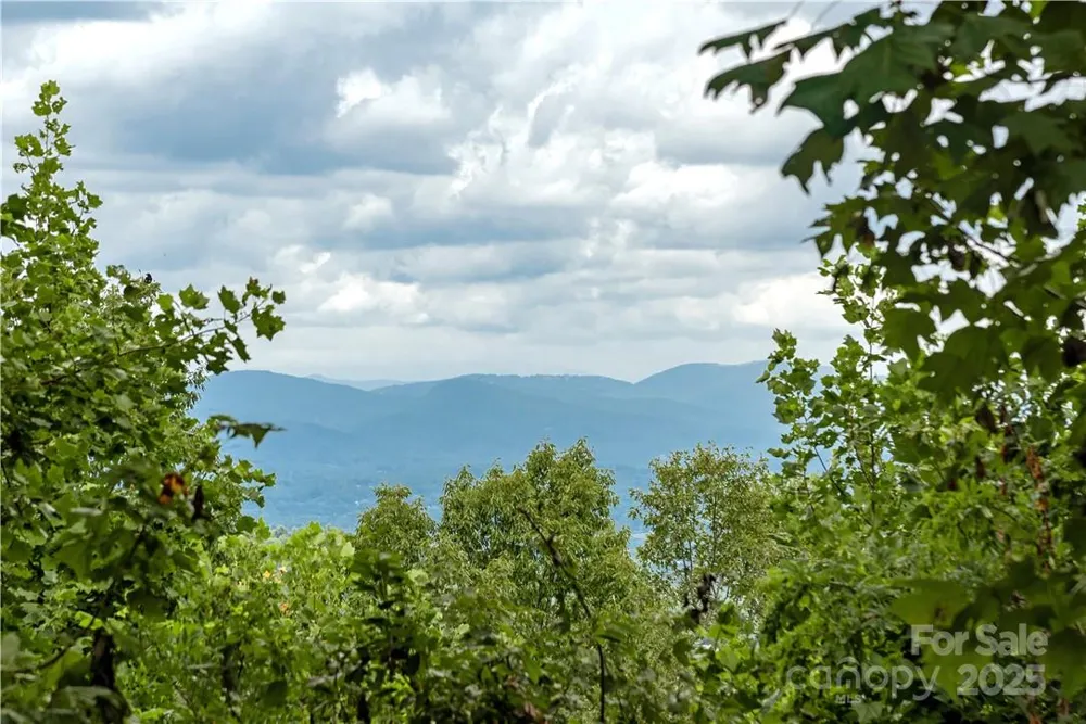 103 Berry Creek Drive #22 Flat Rock, NC 28731
