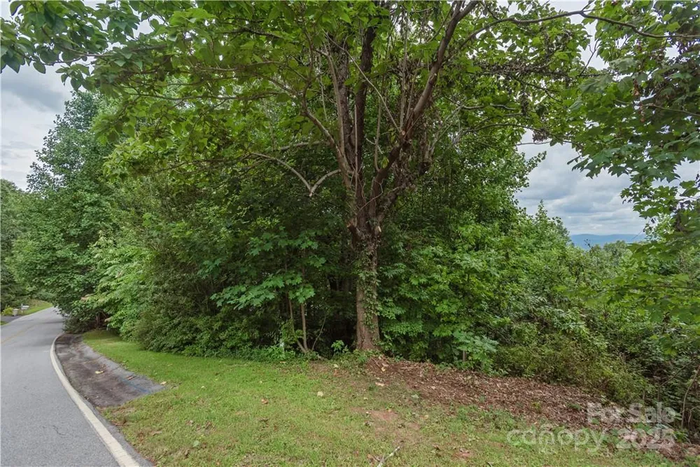 103 Berry Creek Drive #22 Flat Rock, NC 28731
