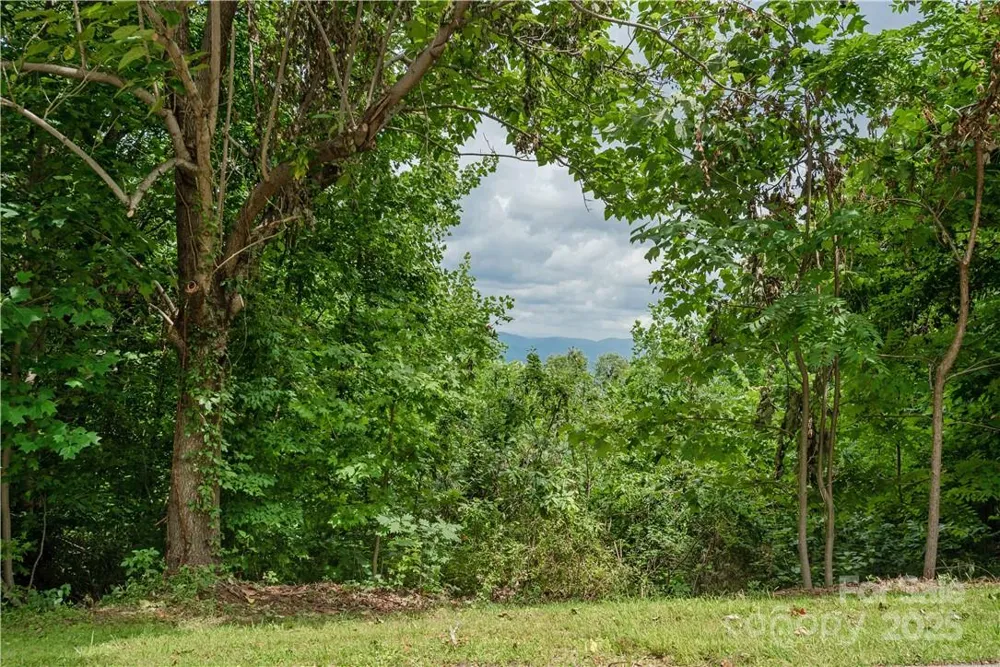 103 Berry Creek Drive #22 Flat Rock, NC 28731