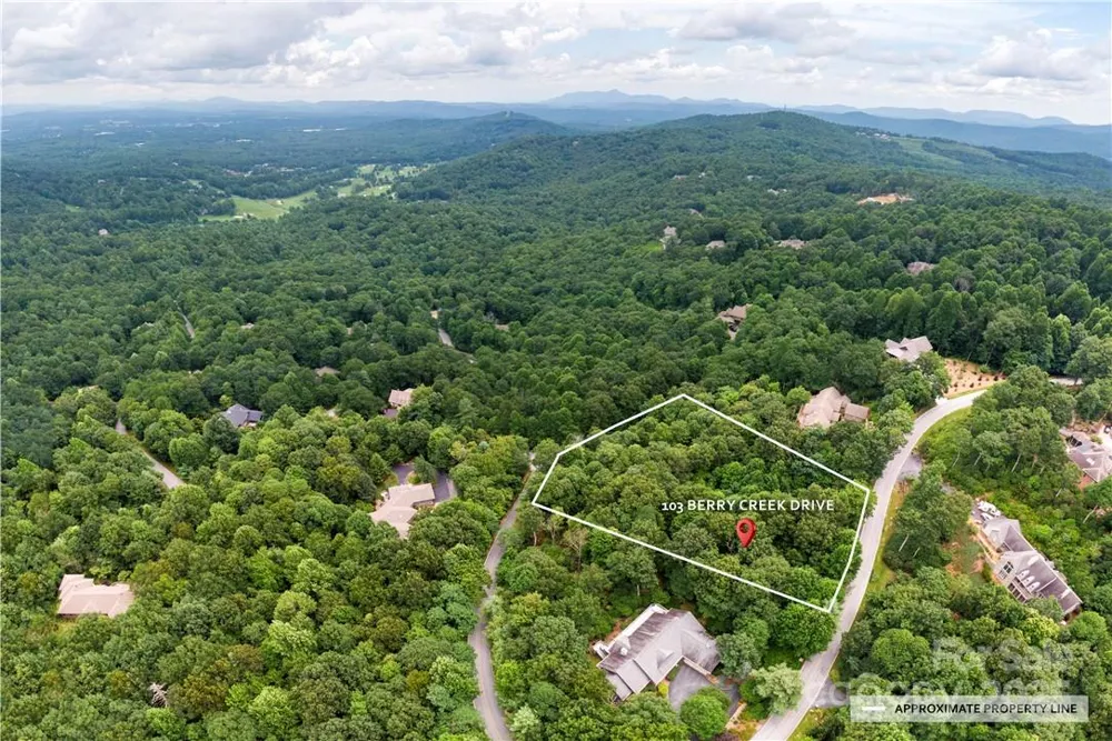 103 Berry Creek Drive #22 Flat Rock, NC 28731