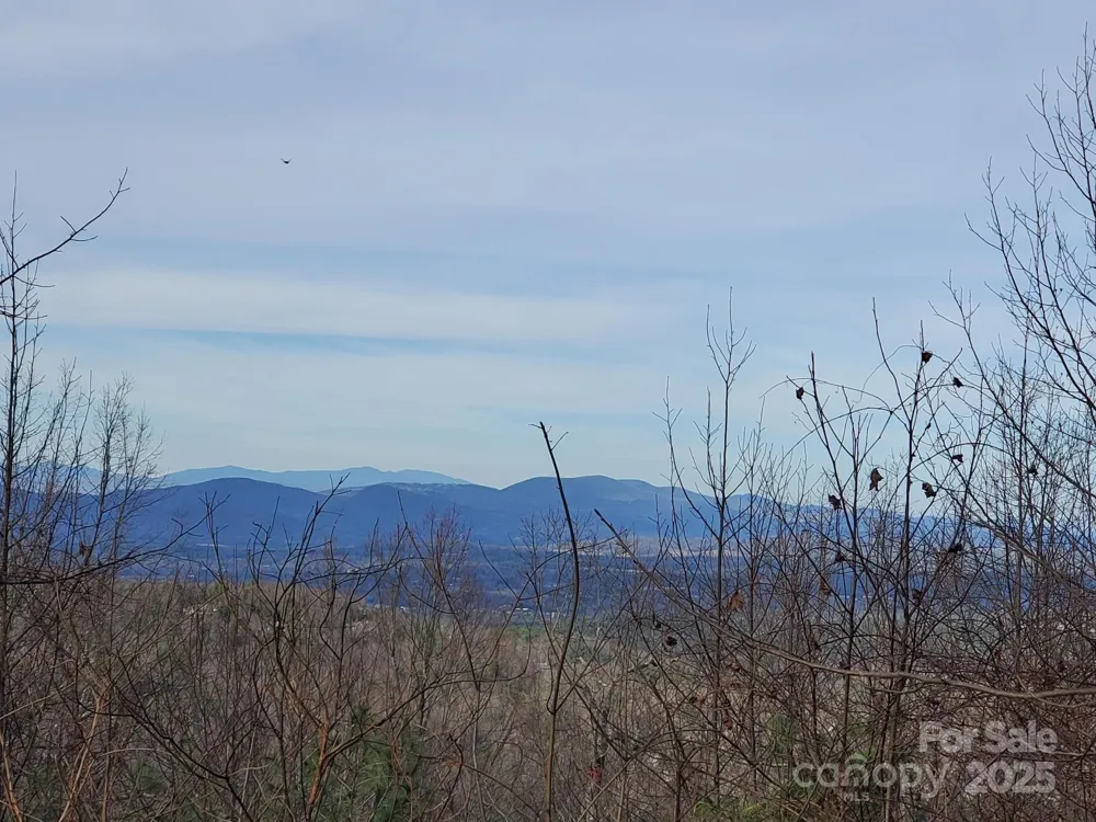 103 Berry Creek Drive #22 Flat Rock, NC 28731