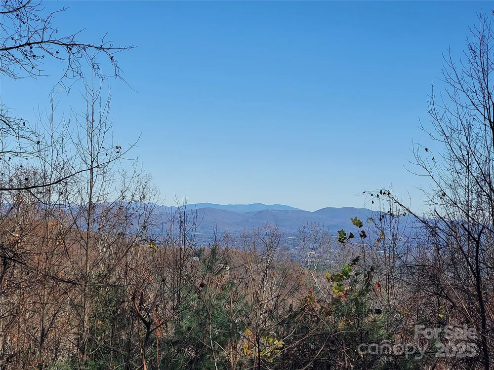 103 Berry Creek Drive #22 Flat Rock, NC 28731