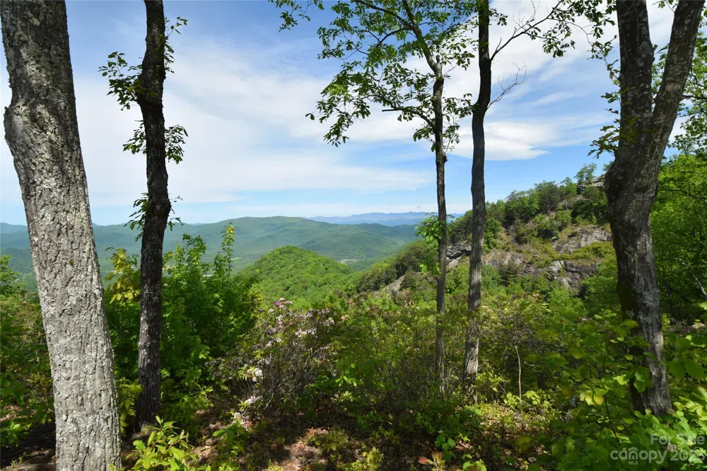 92 Devin Ridge Lane Union Mills, NC 28167