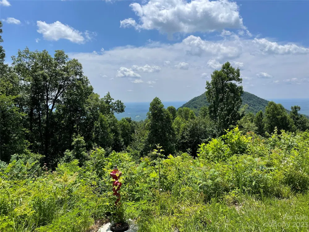 92 Devin Ridge Lane Union Mills, NC 28167