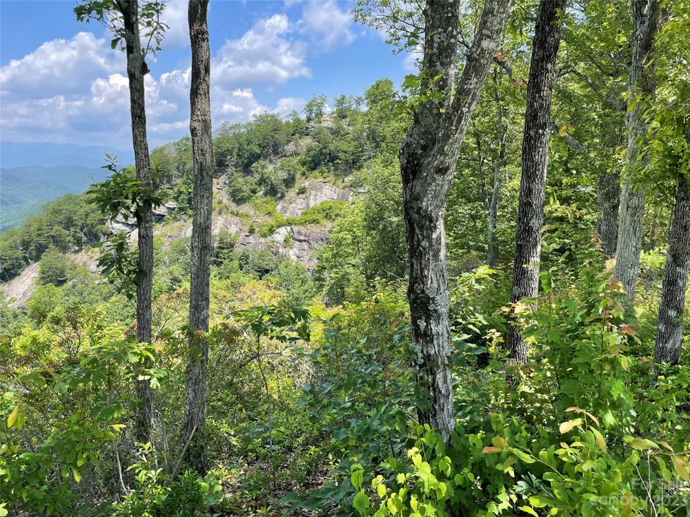 94 Devin Ridge Lane Union Mills, NC 28167