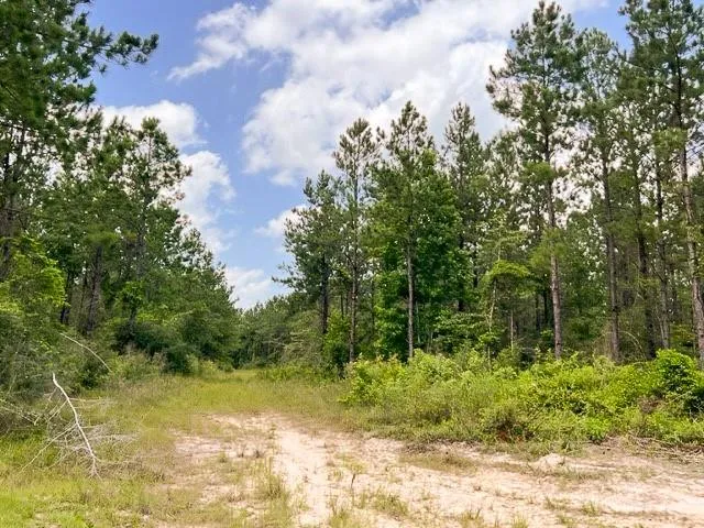 County Road 1325 Woodville, TX 75979