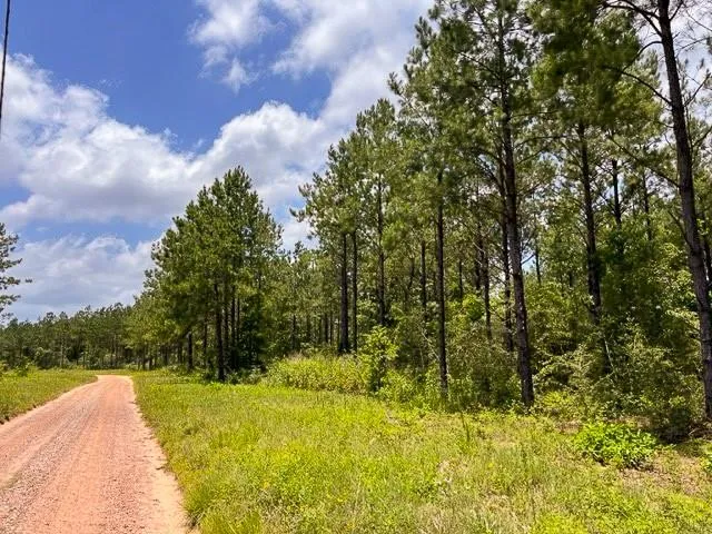 County Road 1325 Woodville, TX 75979