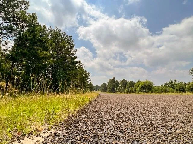 FM 92 Colmesneil, TX 75938