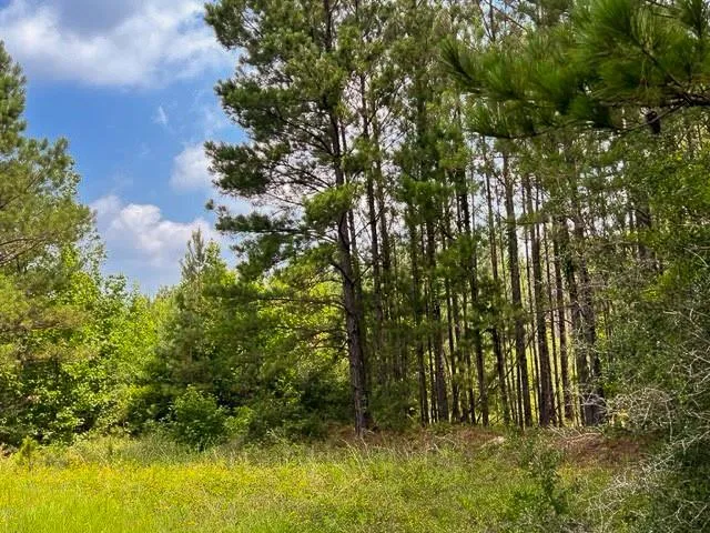 FM 92 Colmesneil, TX 75938