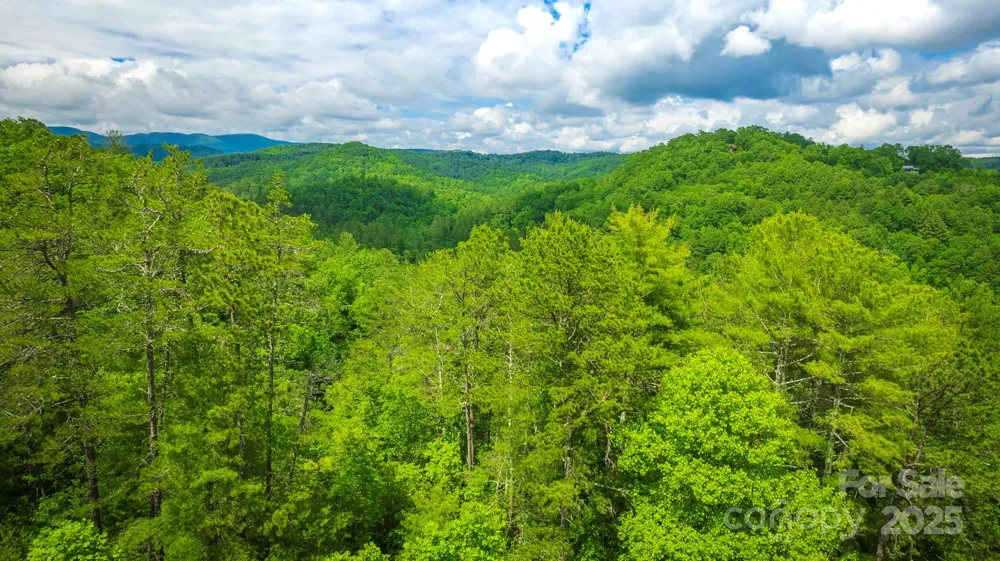 Lot 1 Reynolds Parkway Ferguson, NC 28624