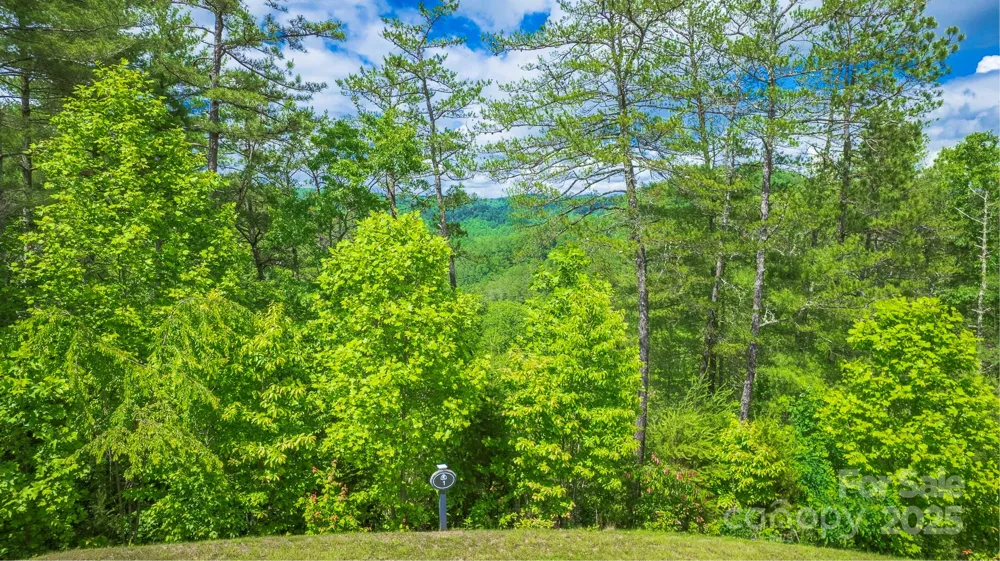 Lot 1 Reynolds Parkway Ferguson, NC 28624
