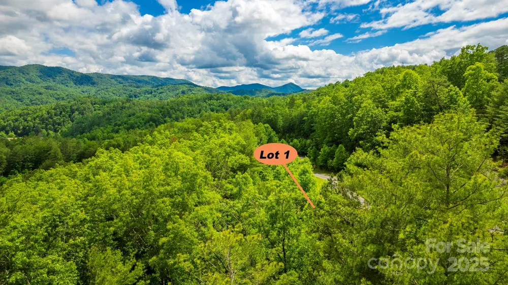 Lot 1 Reynolds Parkway Ferguson, NC 28624