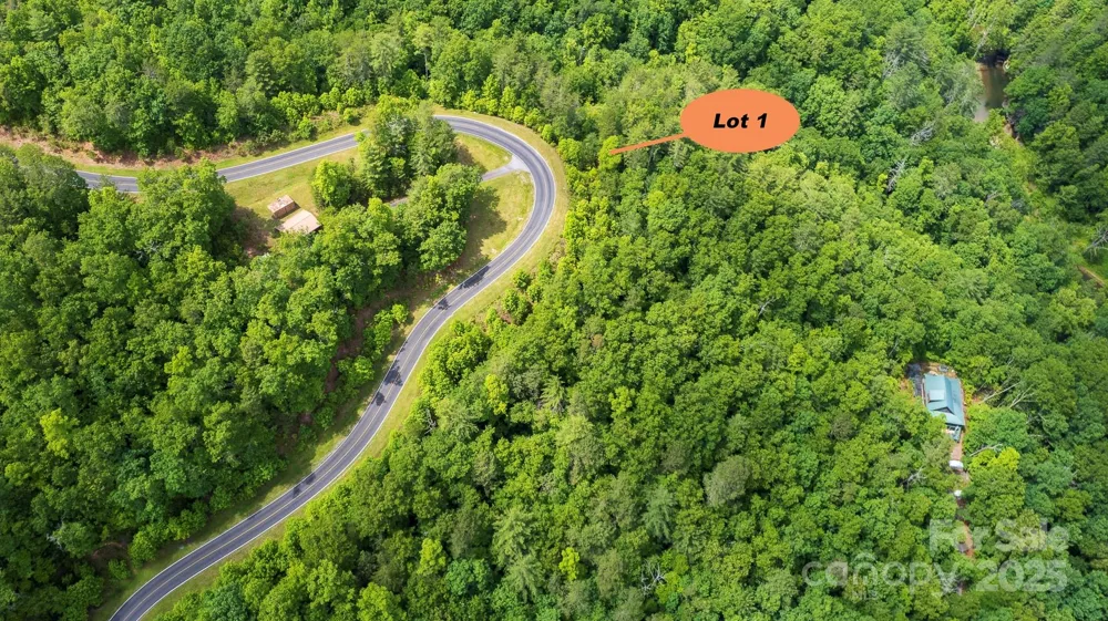 Lot 1 Reynolds Parkway Ferguson, NC 28624