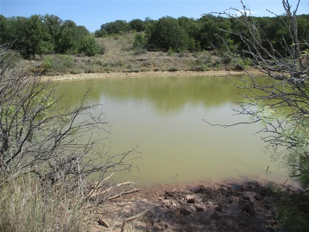 80 Hwy 16 Loving, TX 76460