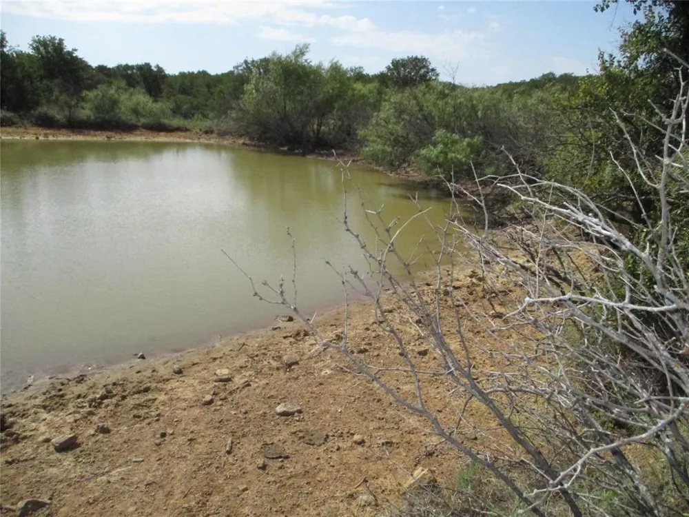 80 Hwy 16 Loving, TX 76460