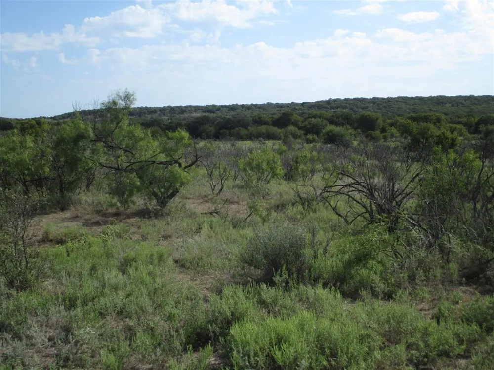 80 Hwy 16 Loving, TX 76460