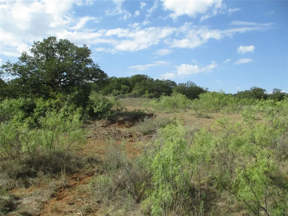 80 Hwy 16 Loving, TX 76460