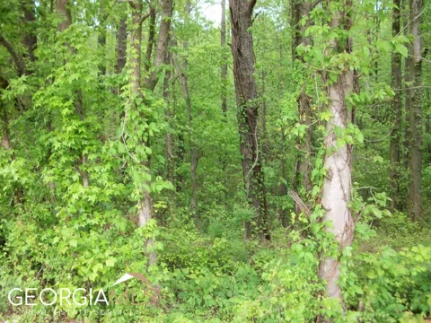 635 Nunnally Farm RD