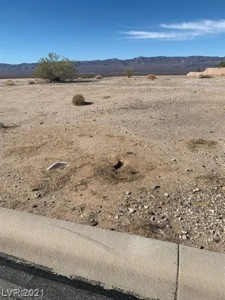 75 Fig Leaf Place Palm Gardens, NV 89039