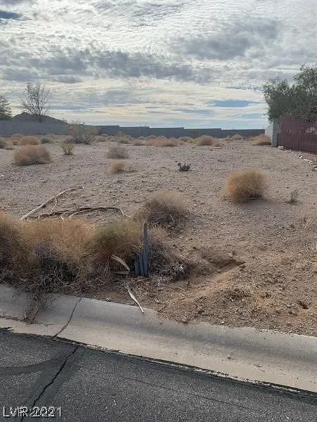 75 Fig Leaf Place Palm Gardens, NV 89039
