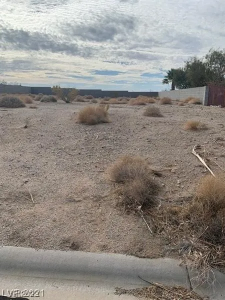 75 Fig Leaf Place Palm Gardens, NV 89039