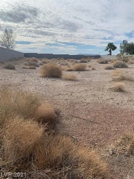 75 Fig Leaf Place Palm Gardens, NV 89039