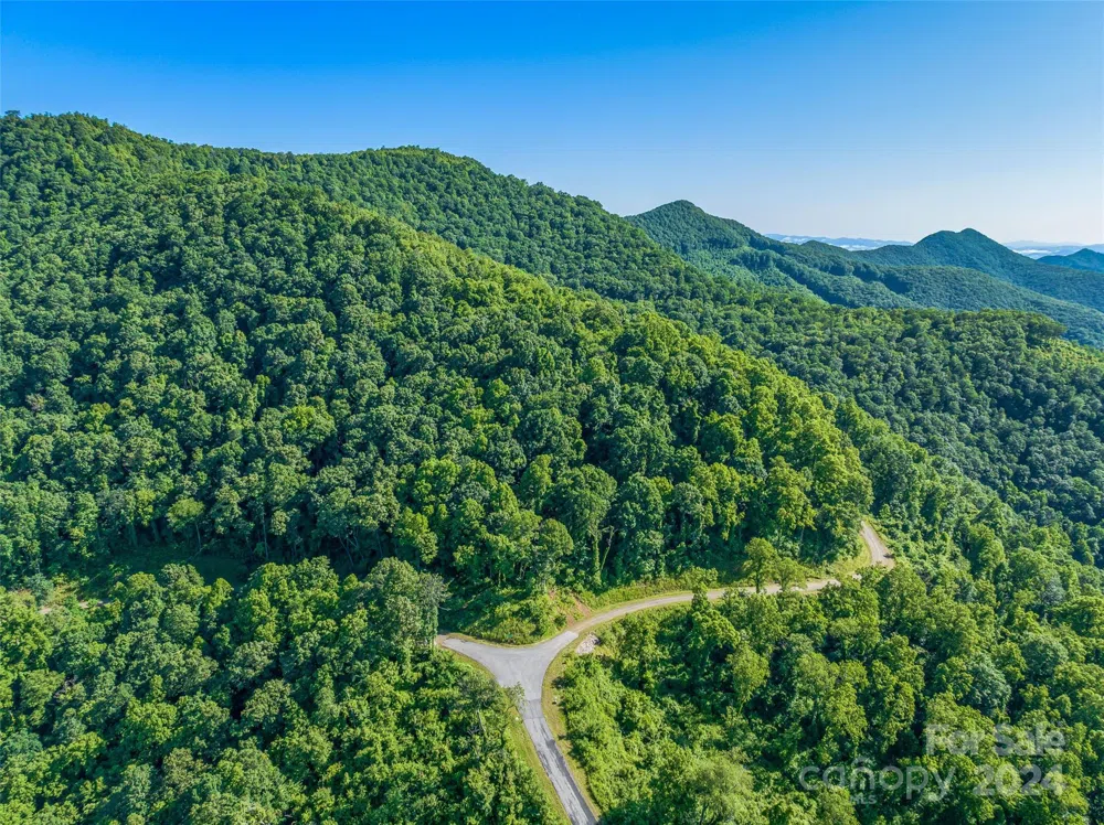 9999-29 Lovebird Lane #29 Canton, NC 28716