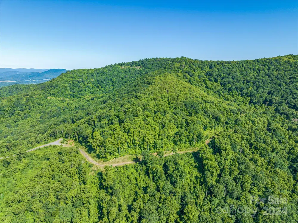 9999-29 Lovebird Lane #29 Canton, NC 28716