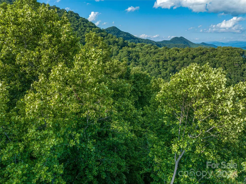 9999-29 Lovebird Lane #29 Canton, NC 28716
