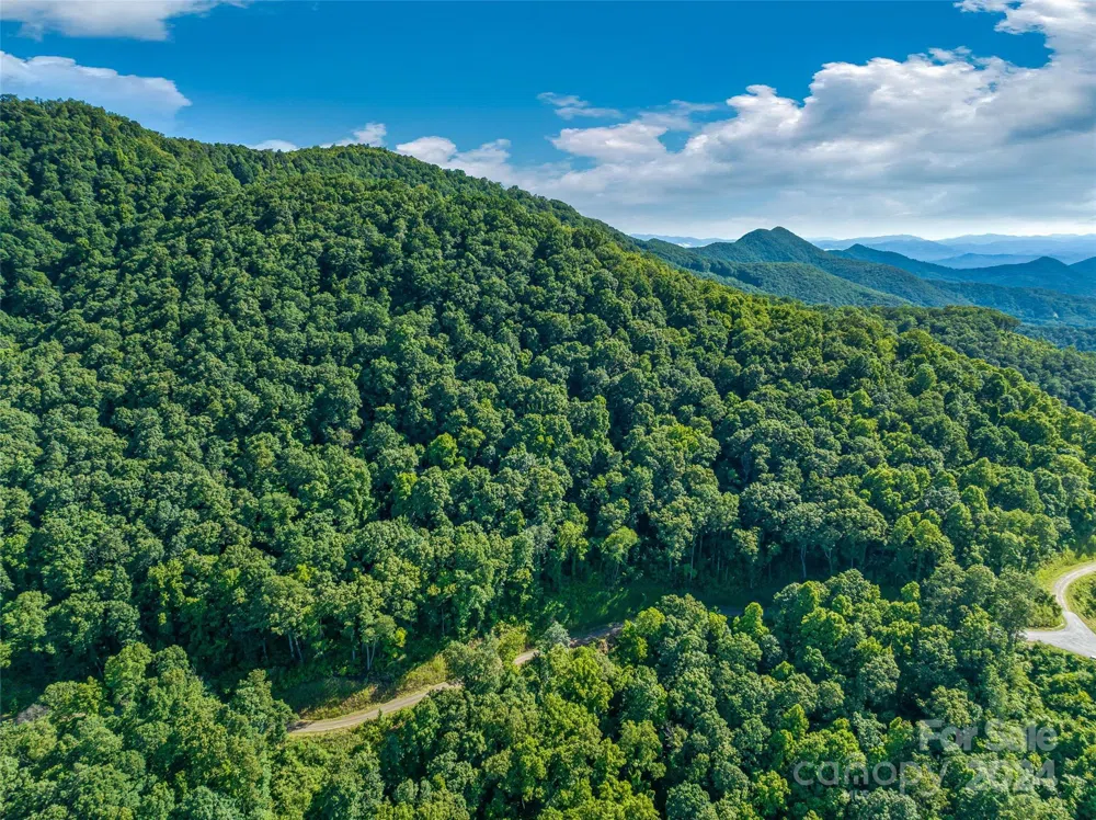 9999-29 Lovebird Lane #29 Canton, NC 28716