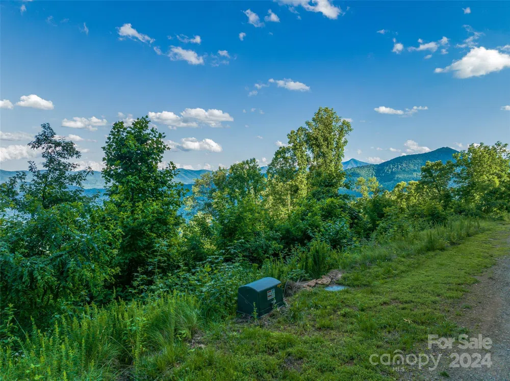 9999-29 Lovebird Lane #29 Canton, NC 28716