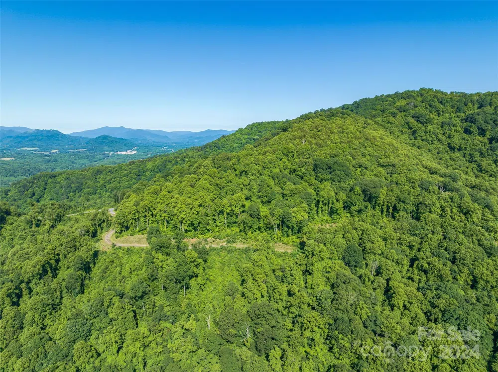 9999-29 Lovebird Lane #29 Canton, NC 28716