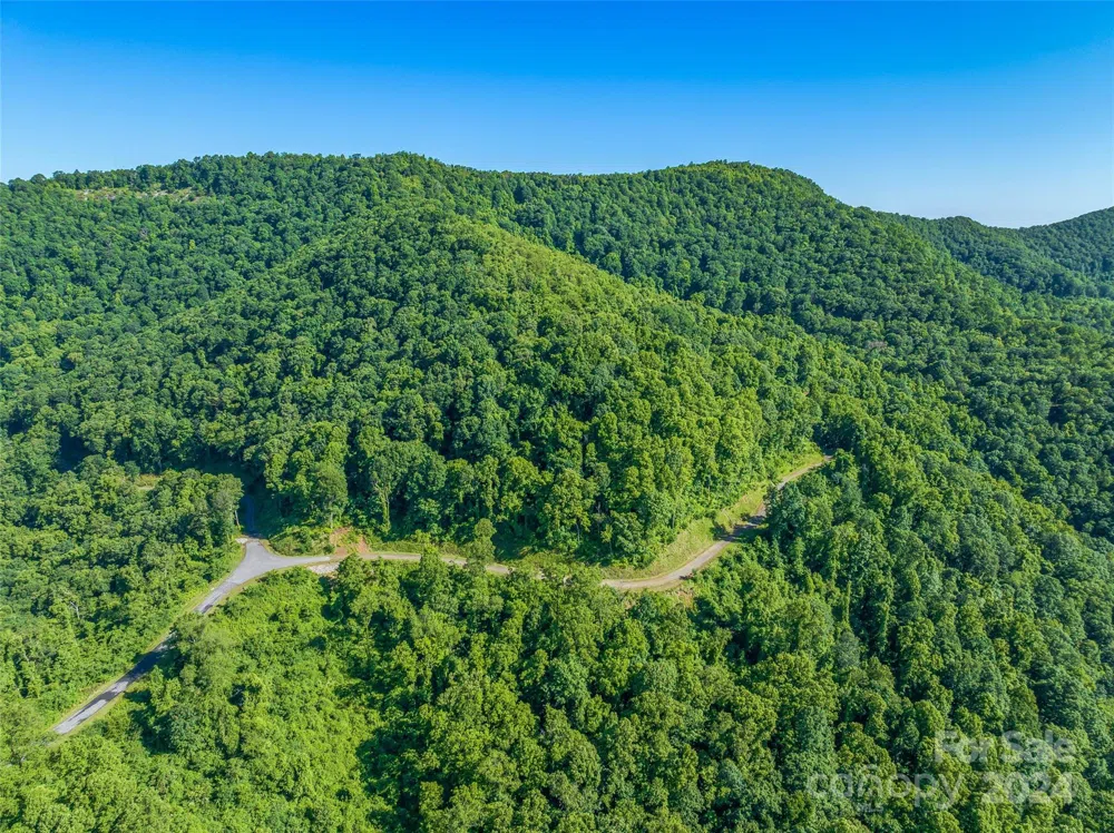 9999-29 Lovebird Lane #29 Canton, NC 28716