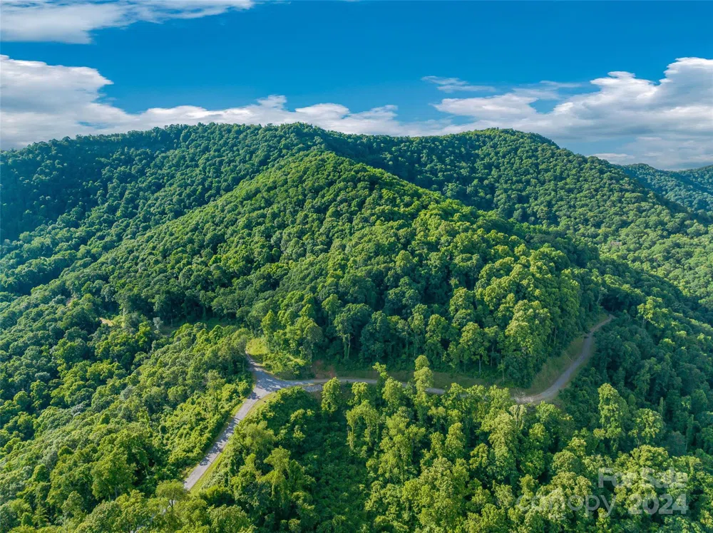 9999-29 Lovebird Lane #29 Canton, NC 28716