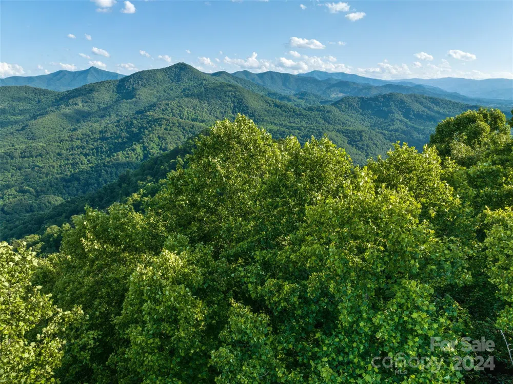 9999-28 Lovebird Lane #28 Canton, NC 28716