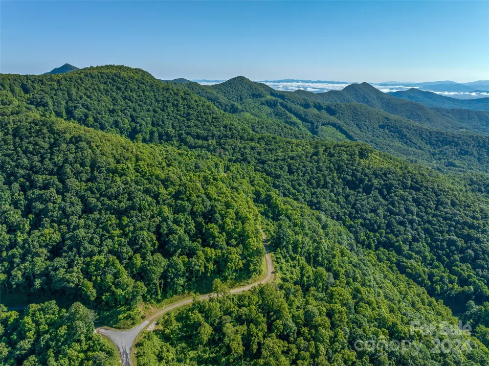 9999-28 Lovebird Lane #28 Canton, NC 28716