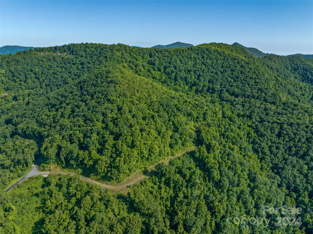 9999-28 Lovebird Lane #28 Canton, NC 28716