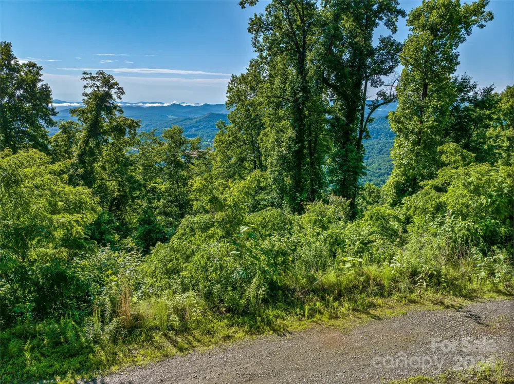 9999-28 Lovebird Lane #28 Canton, NC 28716