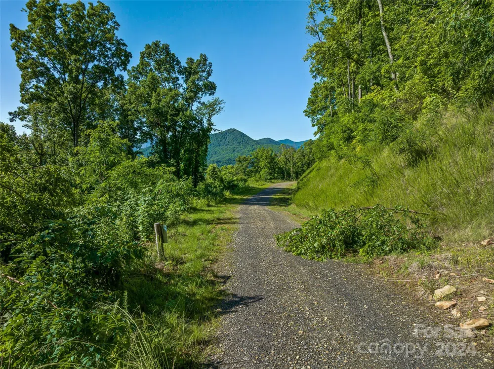 9999-28 Lovebird Lane #28 Canton, NC 28716