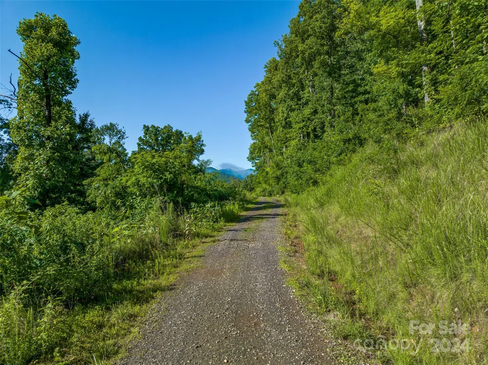 9999-28 Lovebird Lane #28 Canton, NC 28716