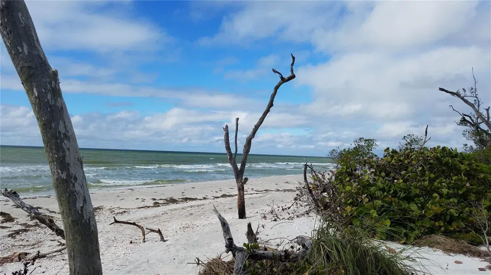 ACCESS UNDETERMINED Bokeelia, FL 33922